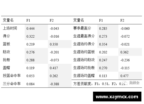 篮球球员薪酬分析与经济影响研究